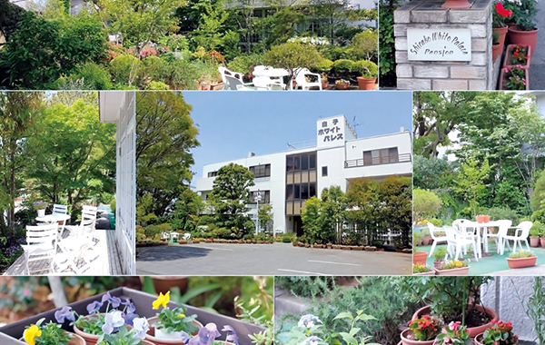 白子ホワイトパレス